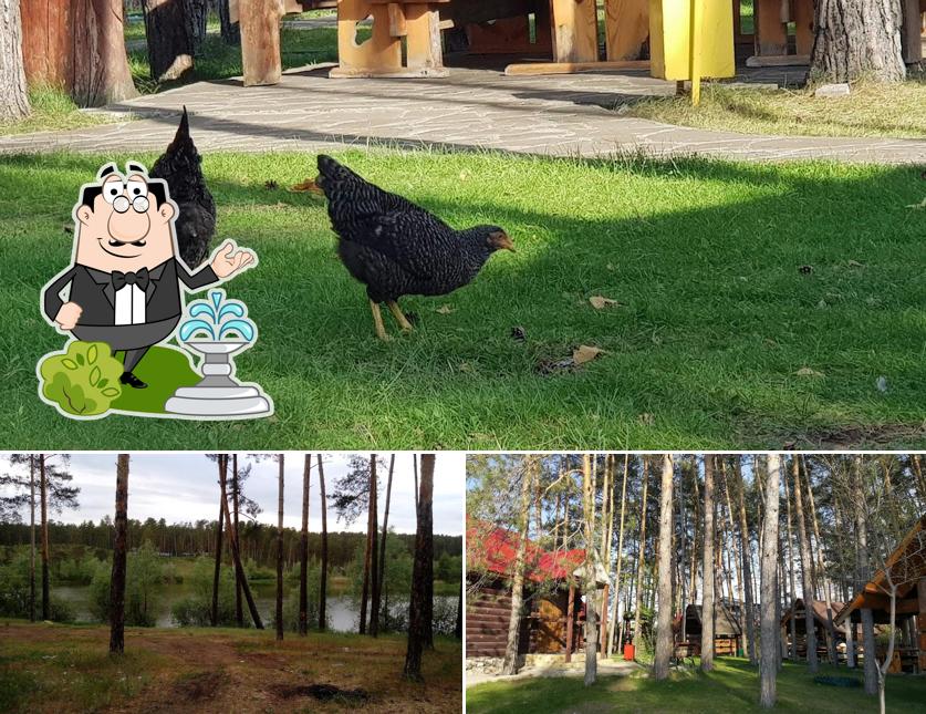 Наслаждайтесь пейзажем, который открывается из "Базилика"