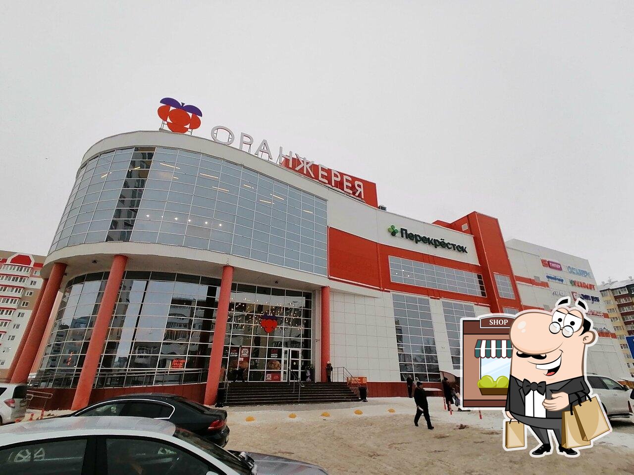 33 Пингвина