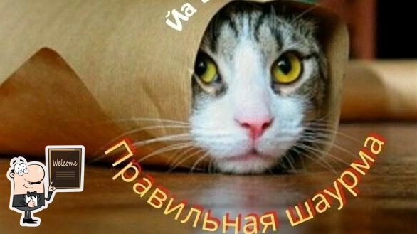 Правильная Шаурма