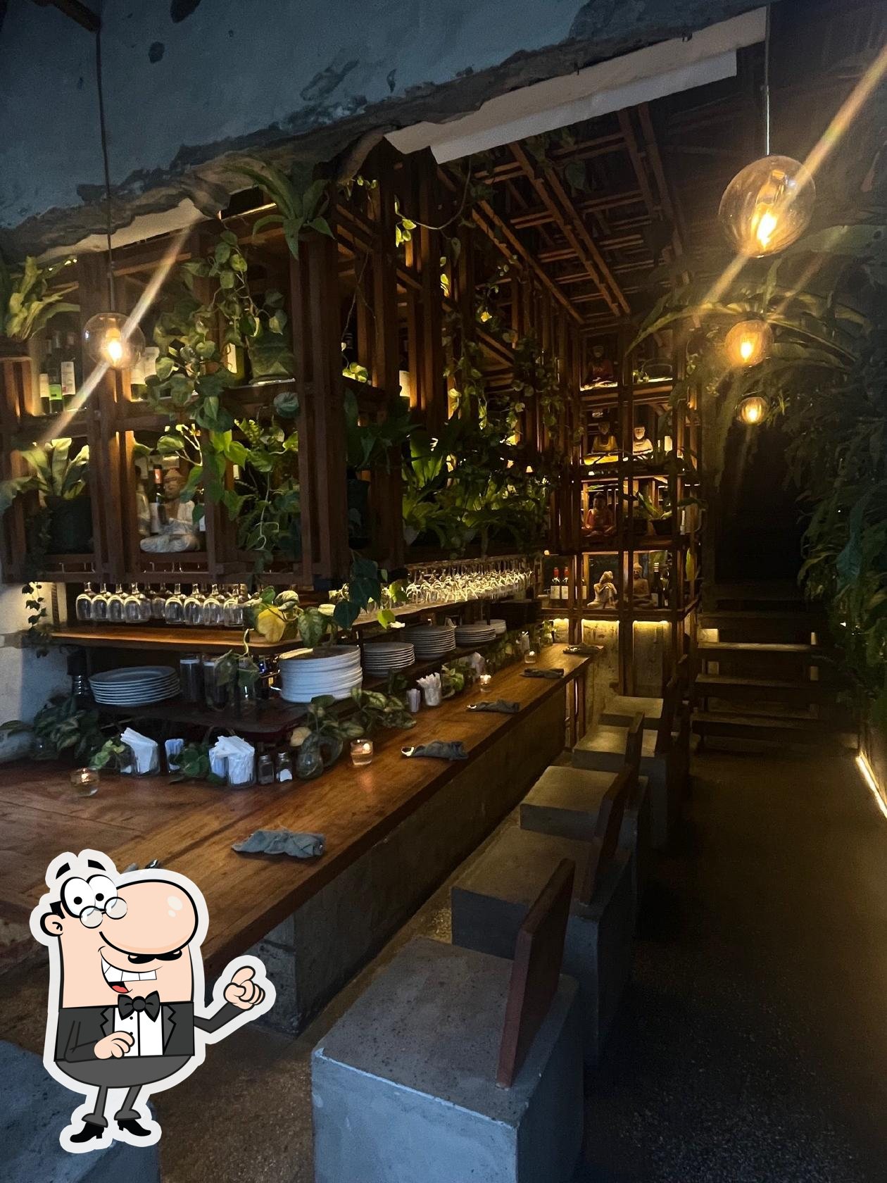 Jinny's Garden