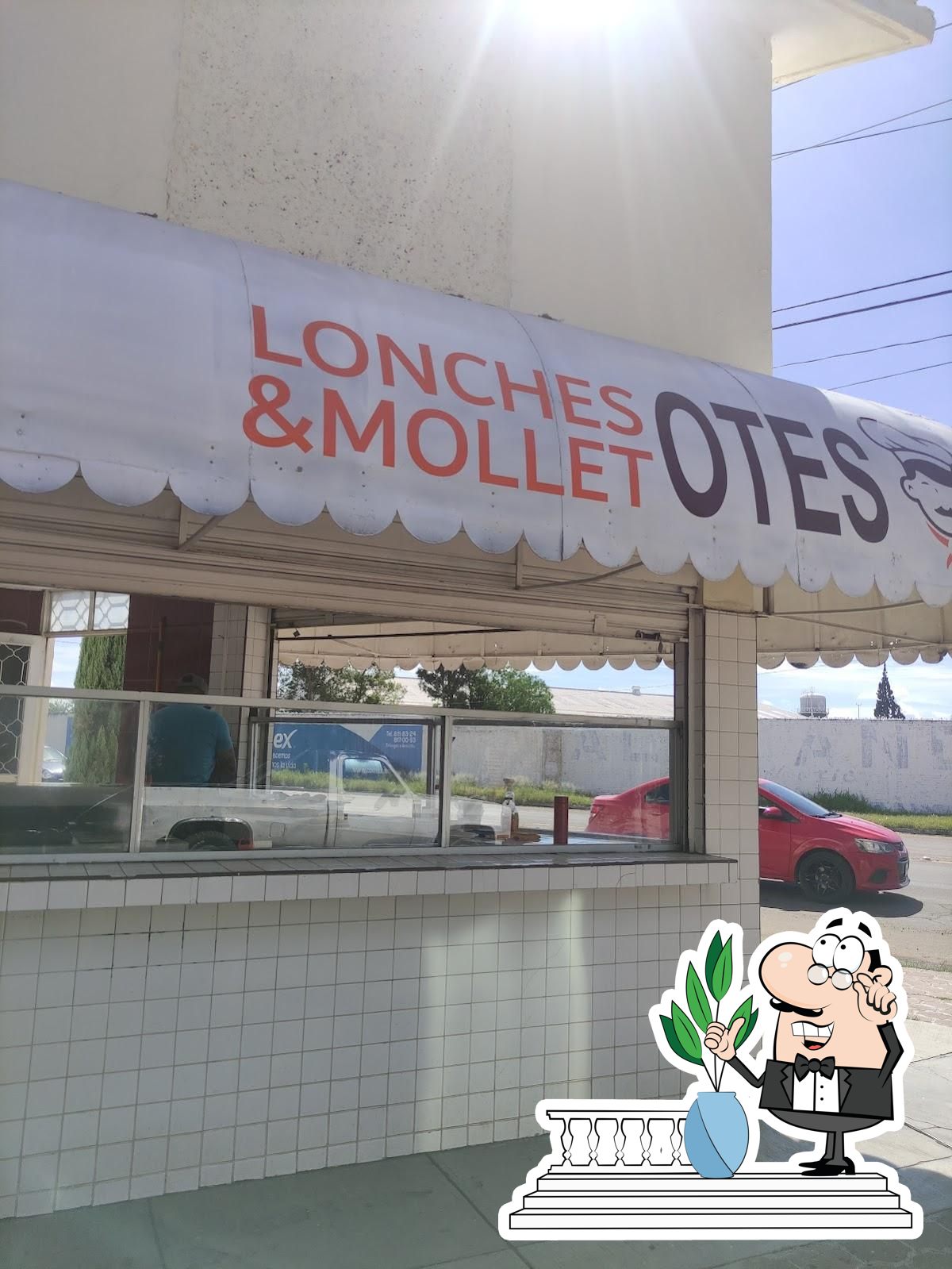 Lonchesotes & Molletotes