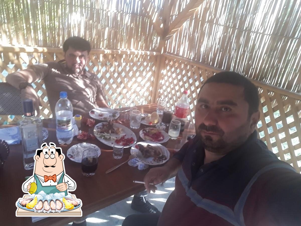 Alqis Kafesi