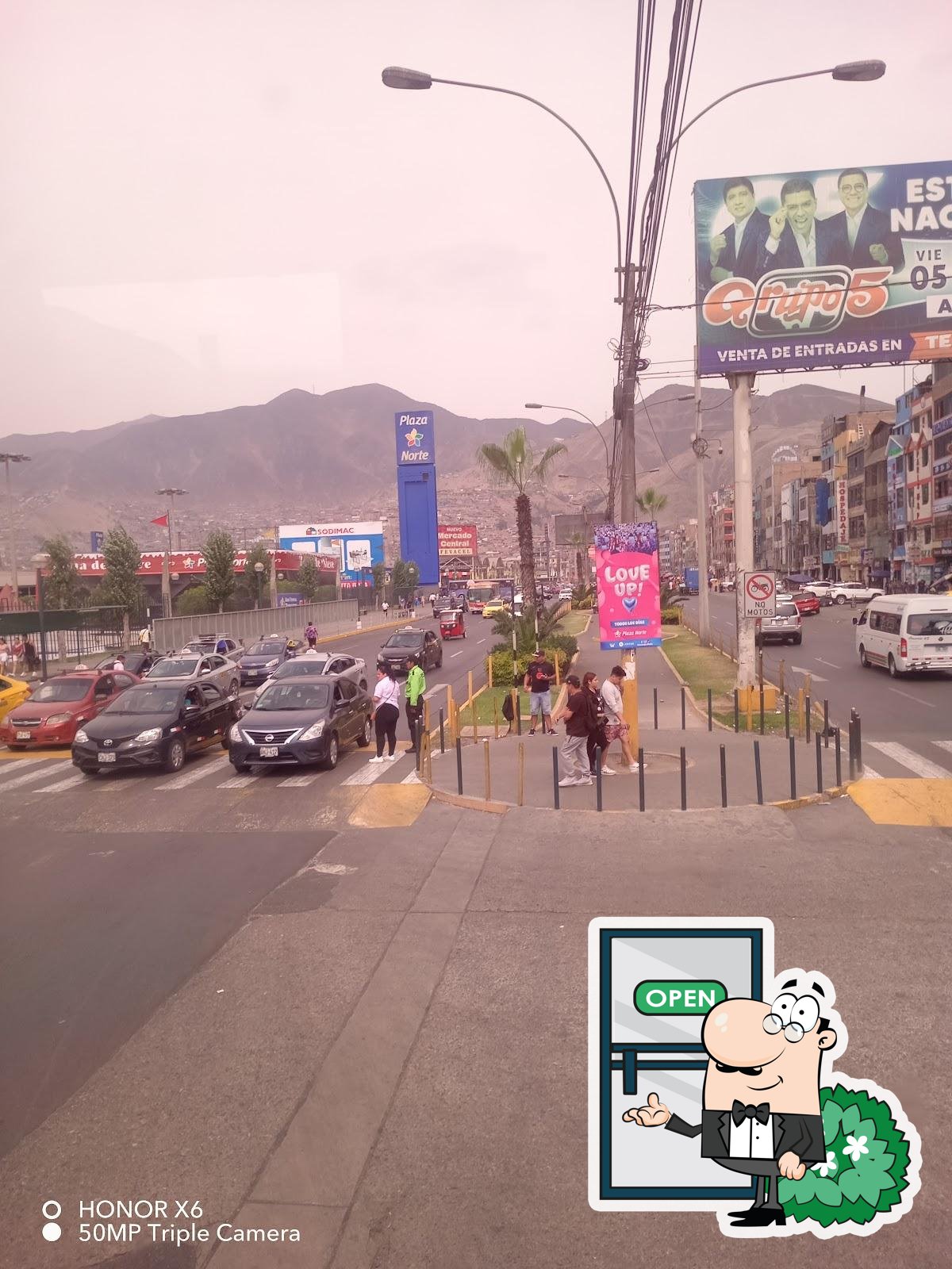 Mango Gourmet UCV