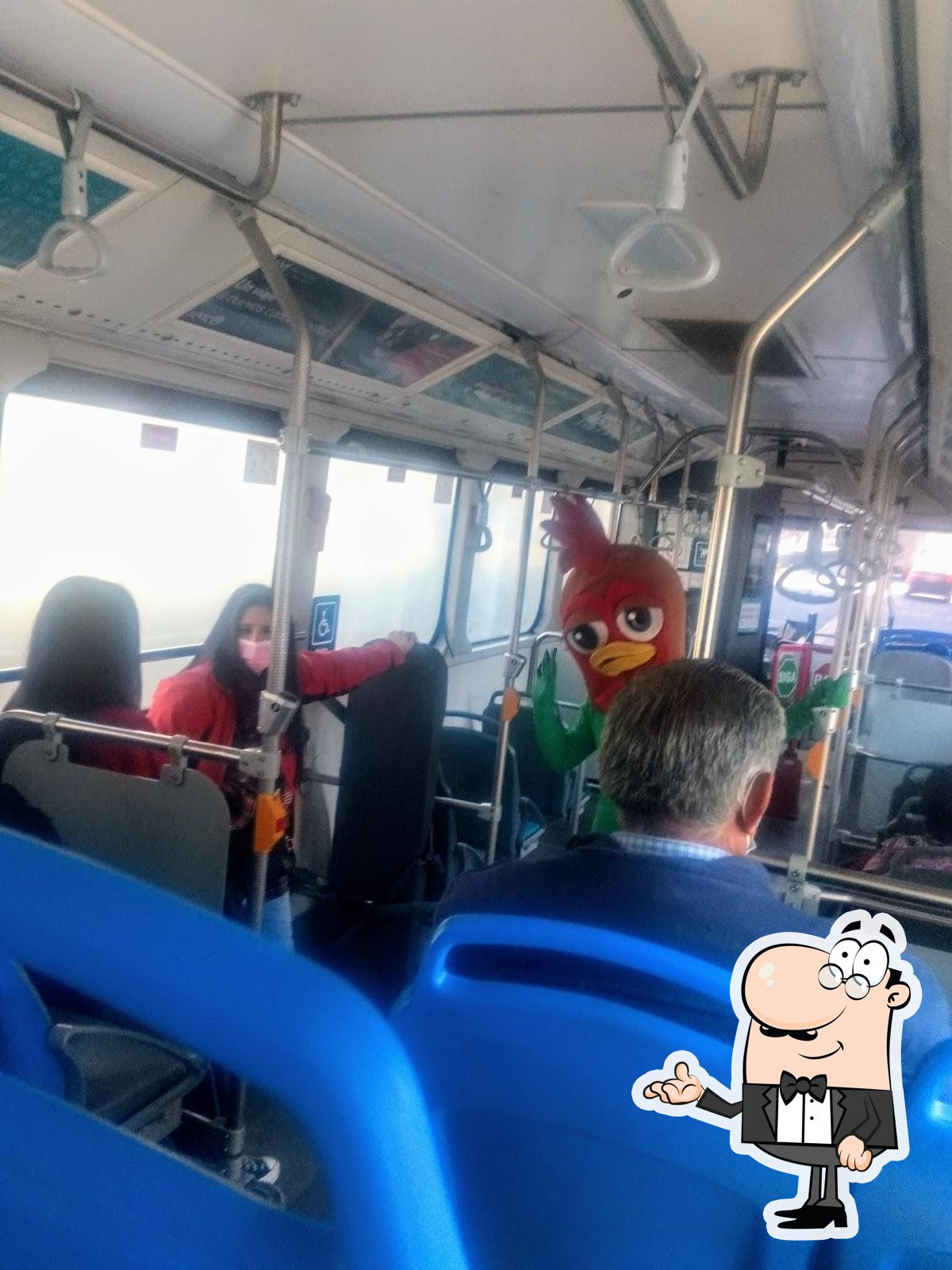 El Pollo Loco