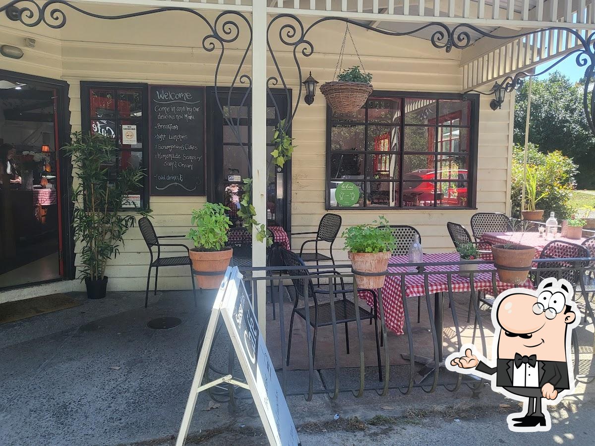 Sassafras Cafe & Back to Earth Juice Bar