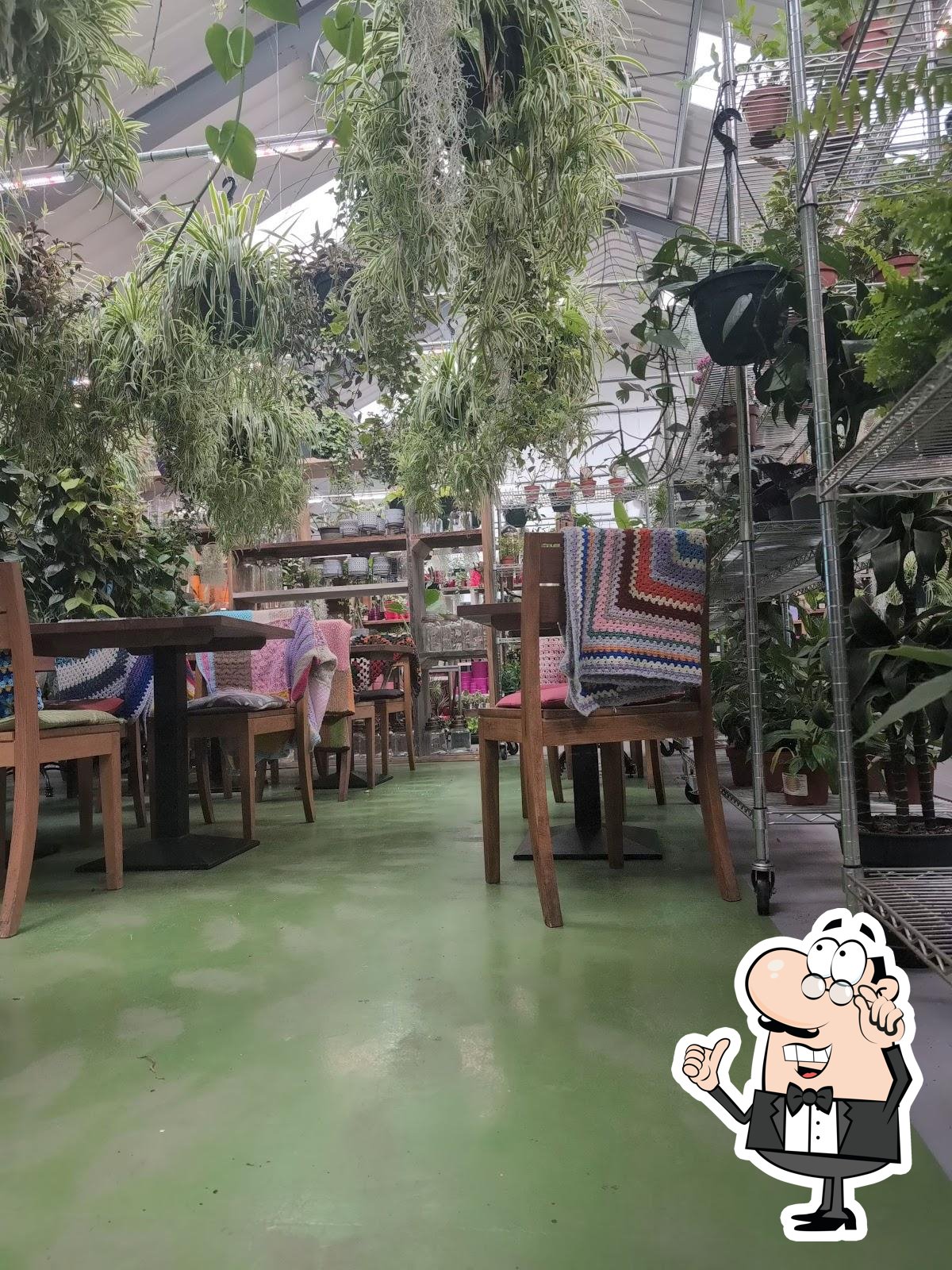 The Cafe at Urban Jungle Suffolk