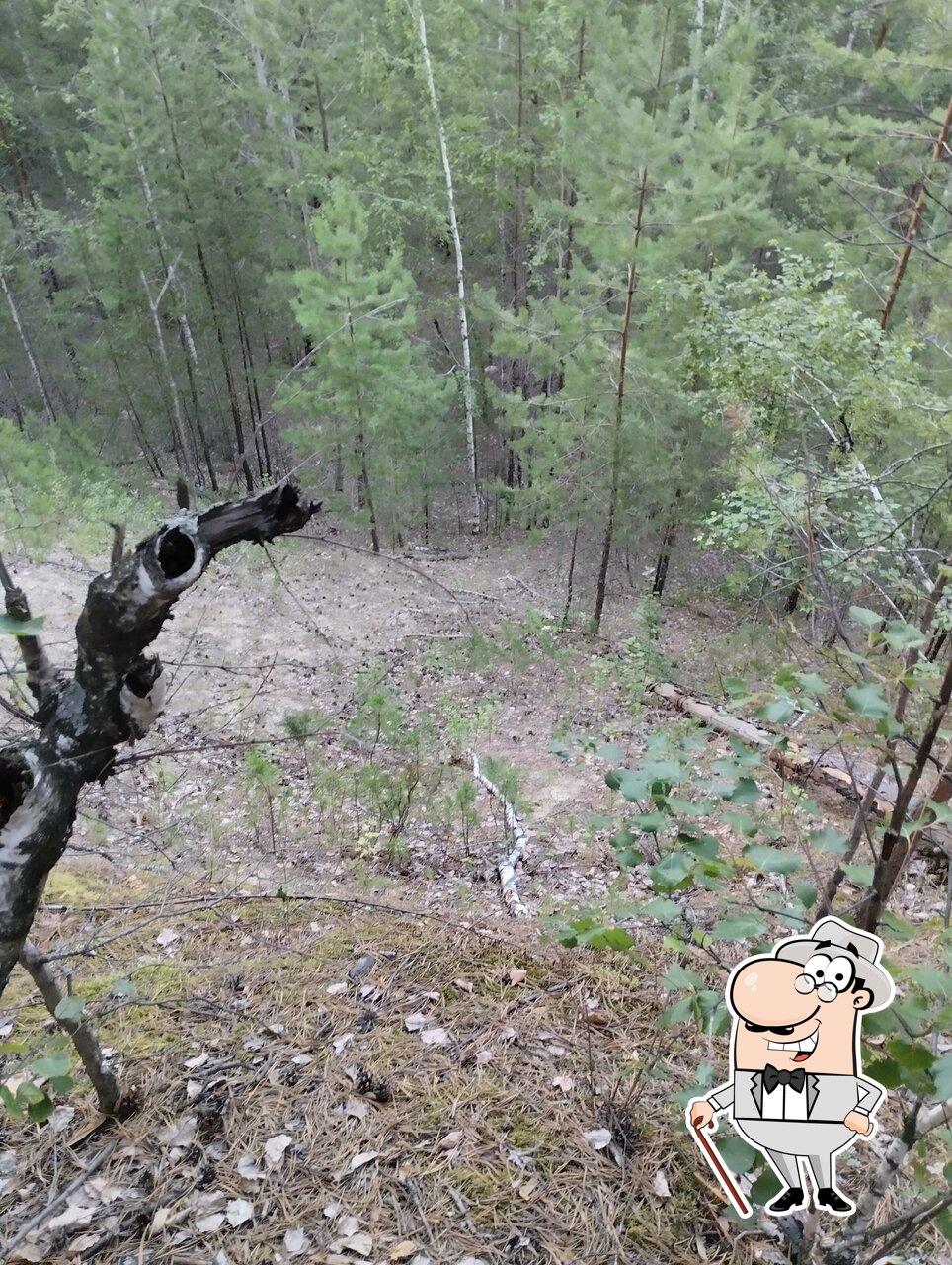 Бугры парк