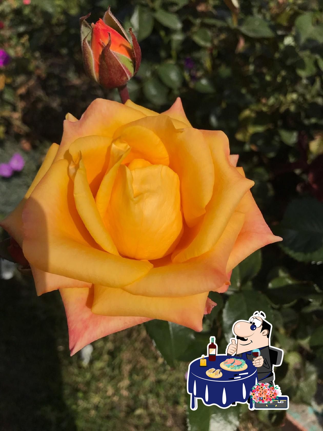 Жирная Ныка!
