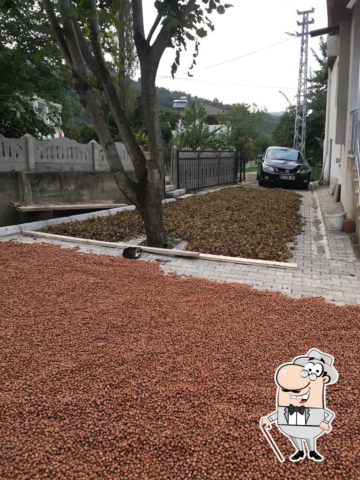 Oflaz Ekmek Fırını