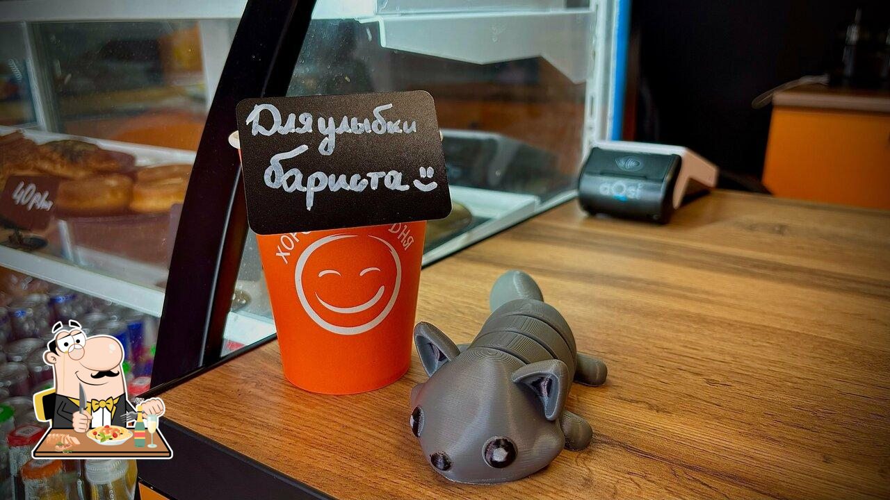 Бодрый Енот