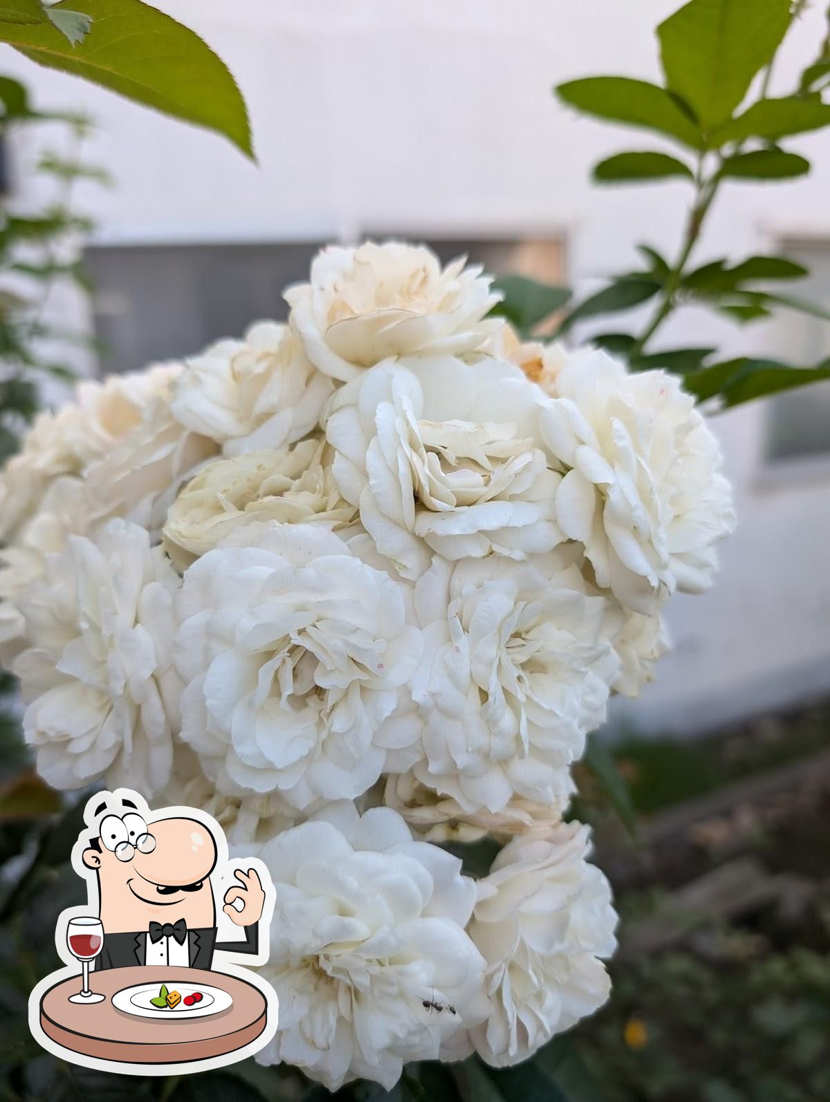 花*花
