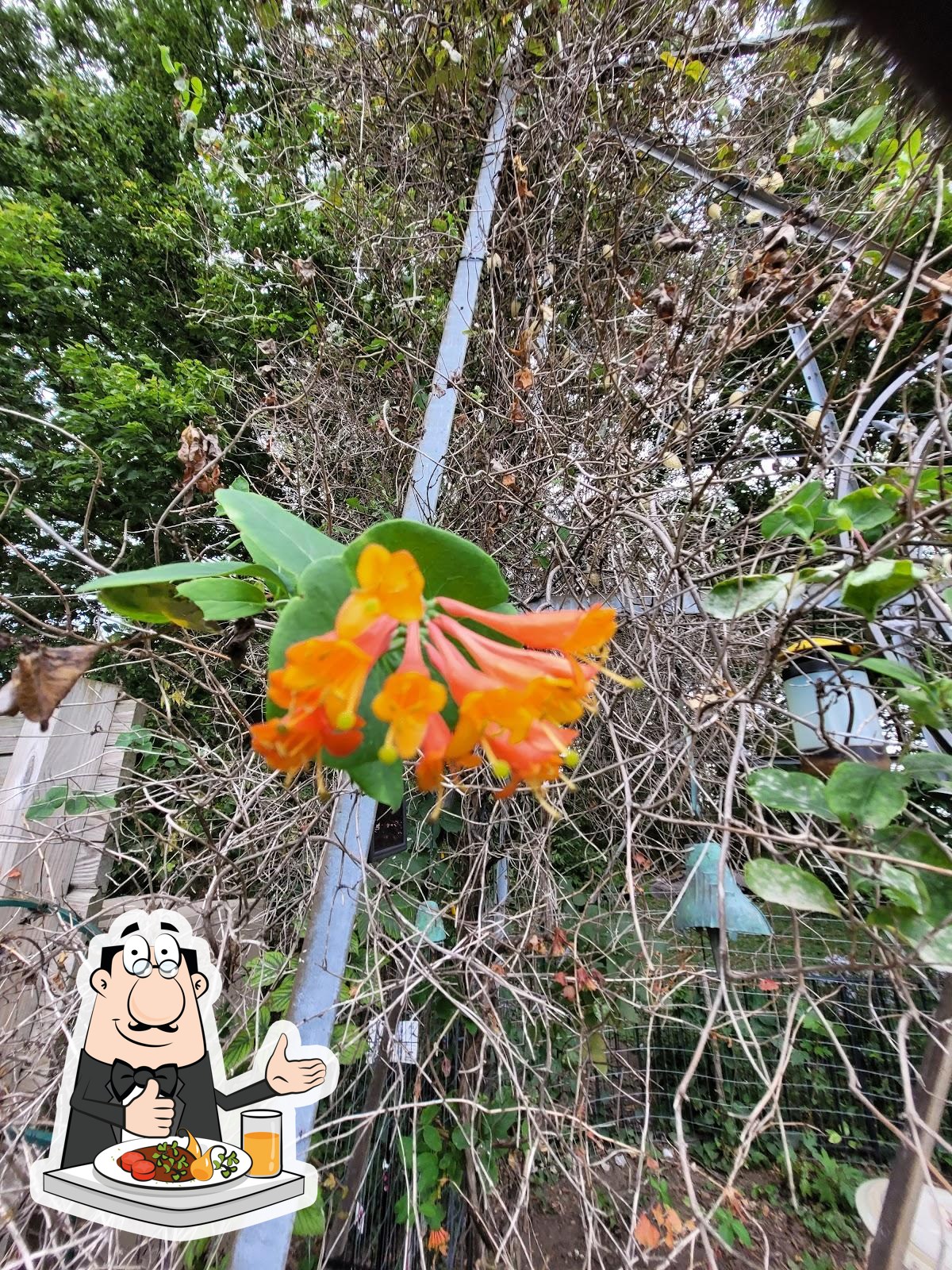 Squash Blossom Farm