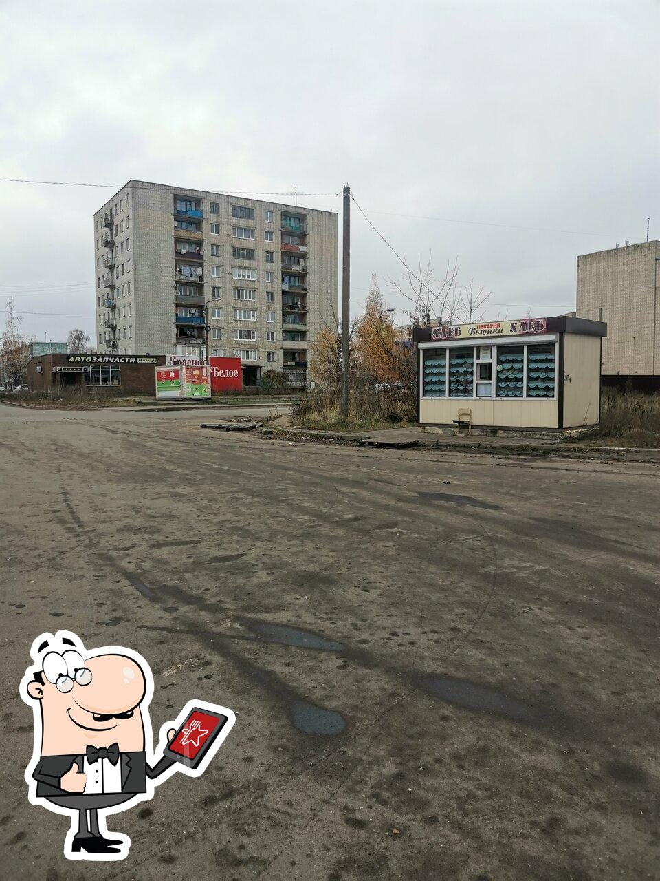 Вьюнки