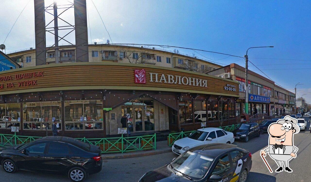 Павлония