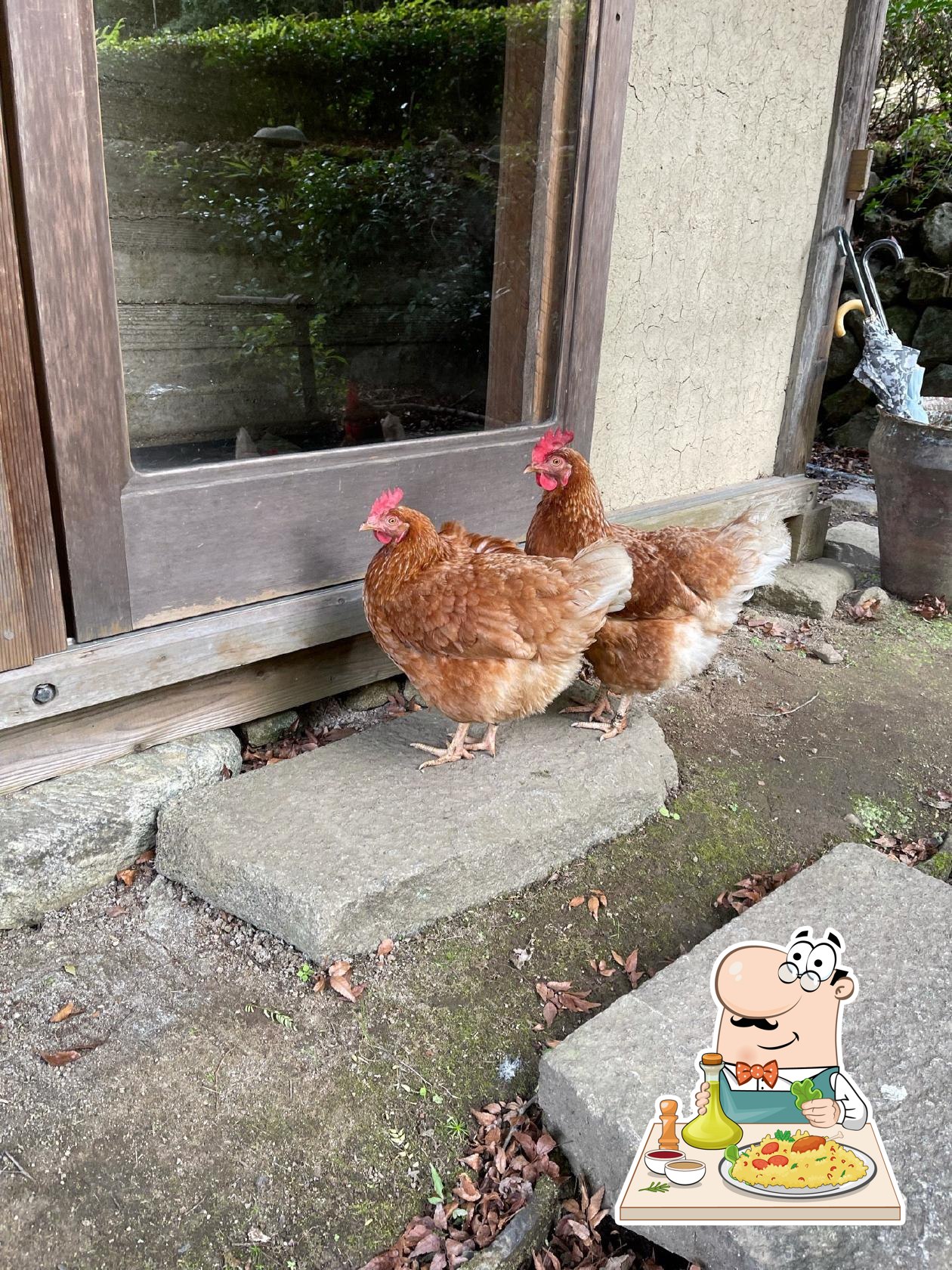 朔