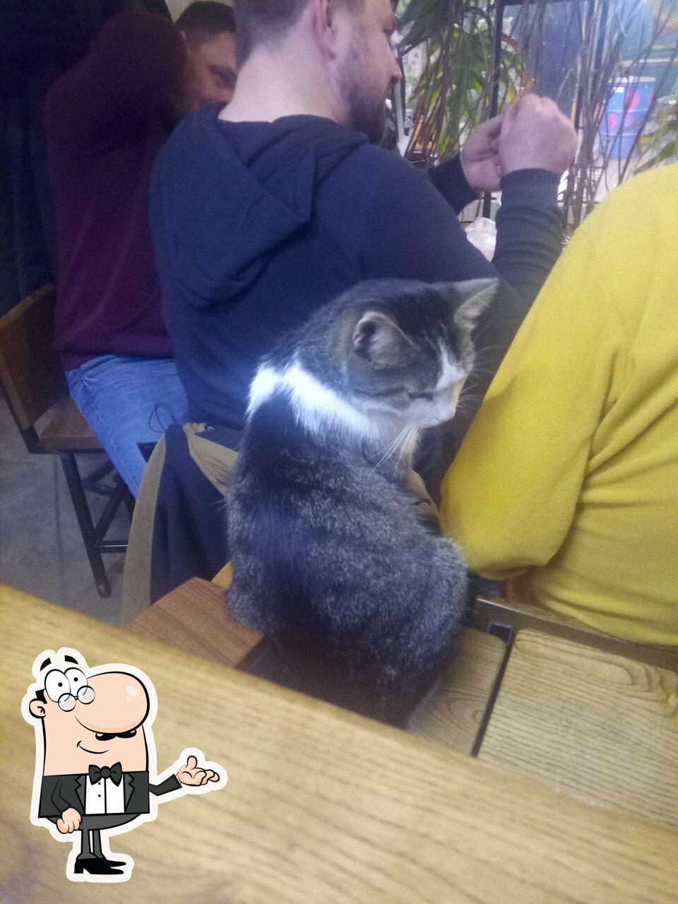 Забронируйте столик в "Big Village Brewery & Taproom".