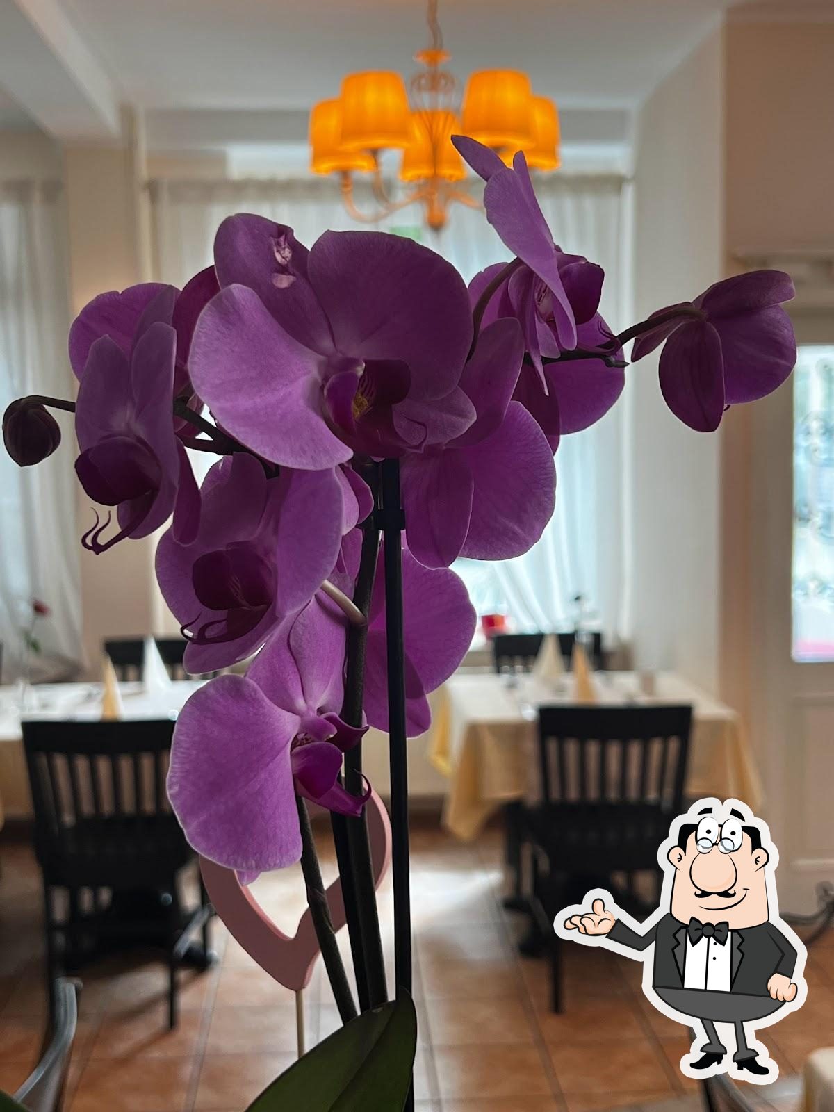 Интерьер "Casa Mia - Ristorante & Pizzeria".