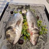 Pescheria da Cesarino