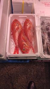 町の小さな魚屋さん 千林江山