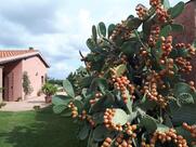 Agriturismo Ristorante Podere Cirene