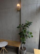 TAOCA COFFEE 南青山店