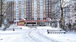 Пироговая