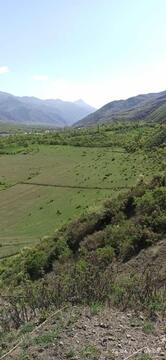 Кафе