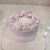 Homeland Bakery Manendragarh