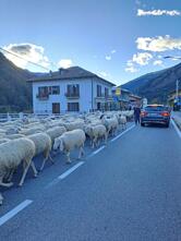 Bar Risto Pinsa Roma