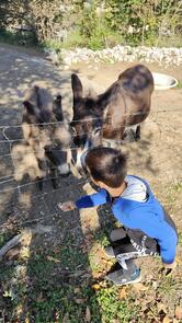 La Ricciaia Ristorante