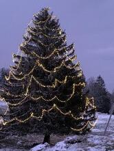 Restaurant Ober-Bürenberg