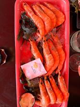 Nicolas Nonnet Dégustation huîtres fruits de mer