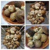 Albergo Ristorante La Nuova Locanda