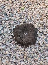 AMORES - Livraria & Cafeteria