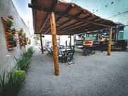 Galodoido macarrão ao vivo