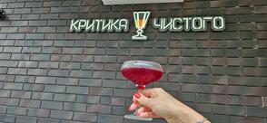 Критика чистого