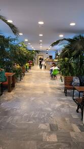 Кафе в Зимнем саду