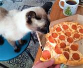 Точка вкуса
