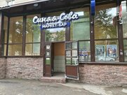 Синяя сова