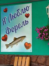 Кафе при форелевом хозяйстве