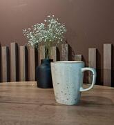 Кактус Хаус