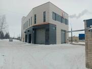 Енот Полоскун