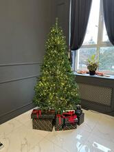 Формула успеха