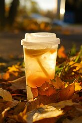 MosTea&Мифэнь
