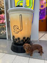 Sj Bubble Tea