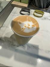 Surf Coffee x Cutback