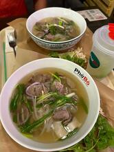 PhoBo