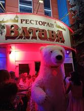 Влтава
