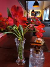 Nápoles Pizzaria e Restaurante