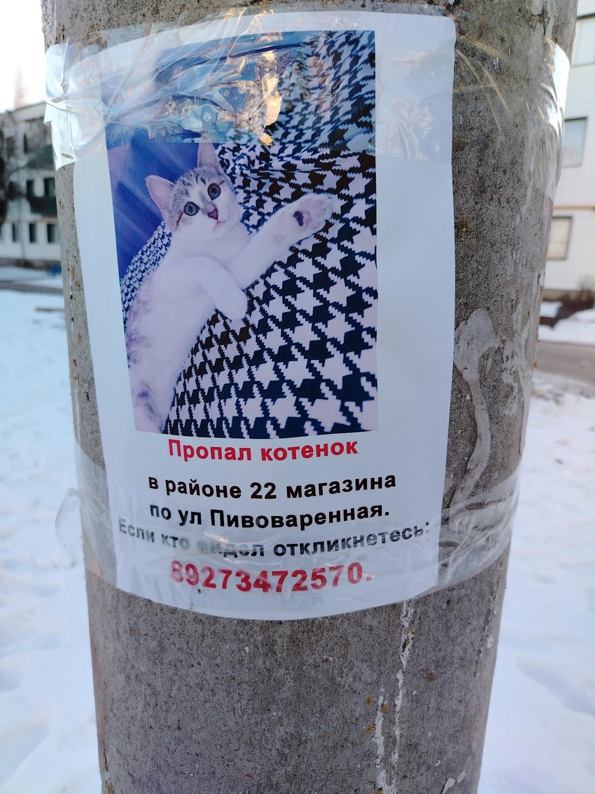 Кальянная #Luxury